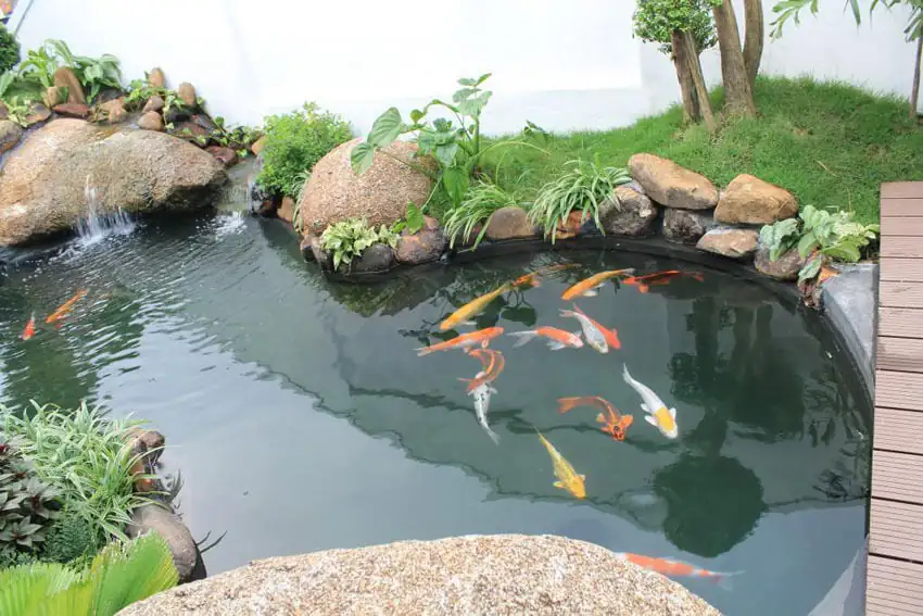 Vị trí đặt hồ cá ngoài sân- Vị trí đặt hồ cá ngoài sân chuẩn phong thủy
