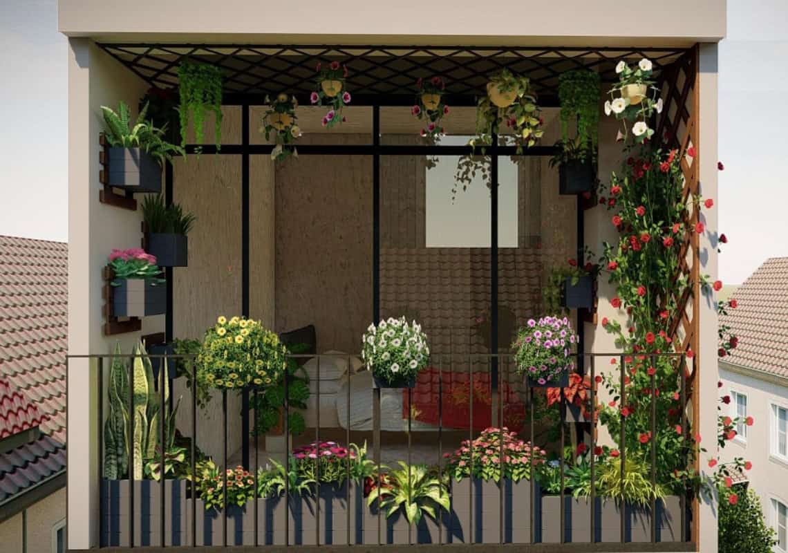 Cây phong thuỷ trồng ngoài ban công- Trồng cây phong thuỷ theo hướng Nam