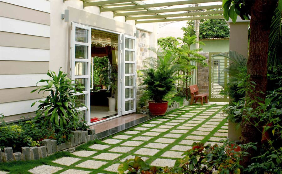 dấu hiệu đất vượng khí-Các dấu hiệu đất vượng khí dễ nhận biết nhất