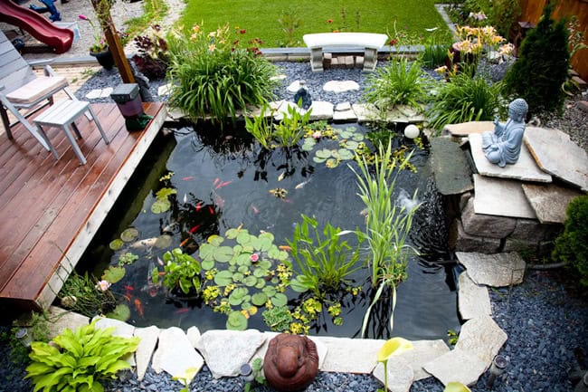 Sân vườn trước nhà đẹp với hồ cá Koi