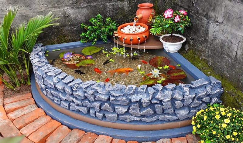 Vị trí đặt hồ cá ngoài sân- Hướng đặt hồ cá hợp mệnh gia chủ