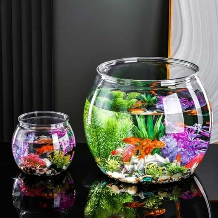 Chọn bể cá phong thủy dành cho người mệnh Kim