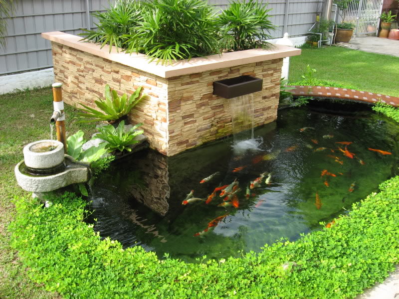 Đặt bể cá phong thủy ngoài sân